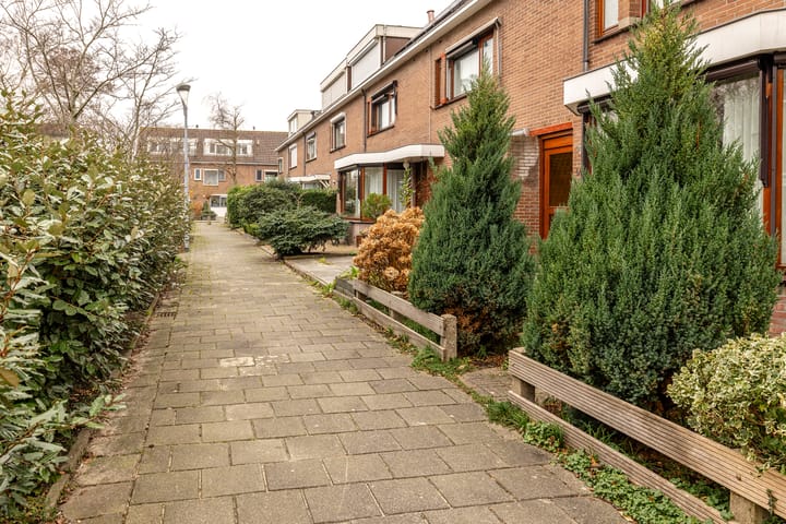 Foto 37 van Seevank 58