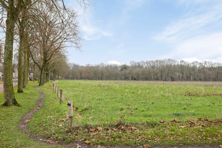 Foto 34 van Bonenburgerlaan 50