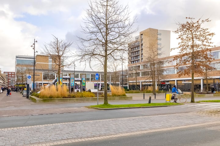 Bekijk foto 32 van Rijnhavenkade 122