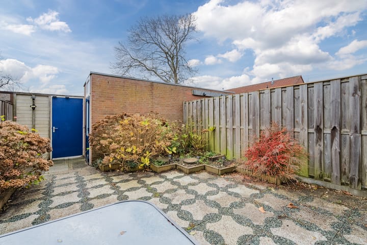 Foto 50 van Schokkerhof 11