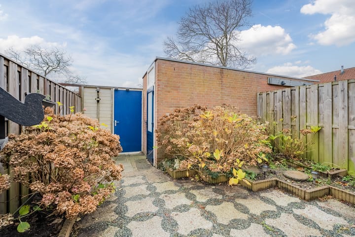 Foto 51 van Schokkerhof 11