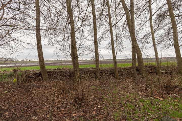 Foto 45 van Hamsterweg 16