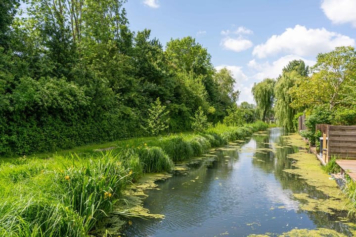 Foto 54 van Dreef 38