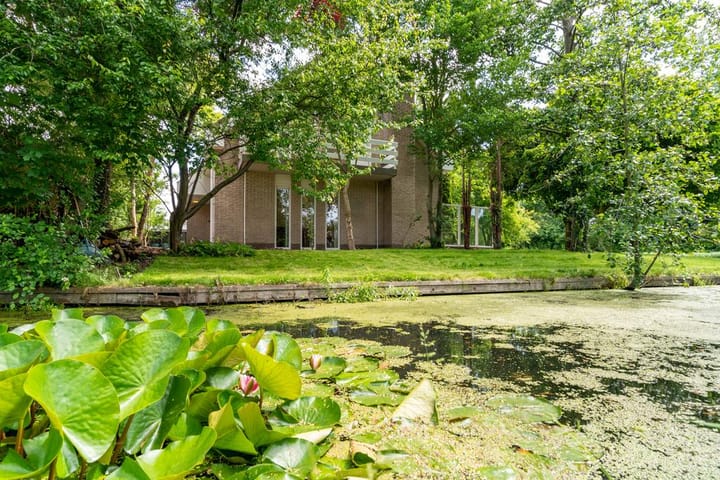 Foto 58 van Dreef 38