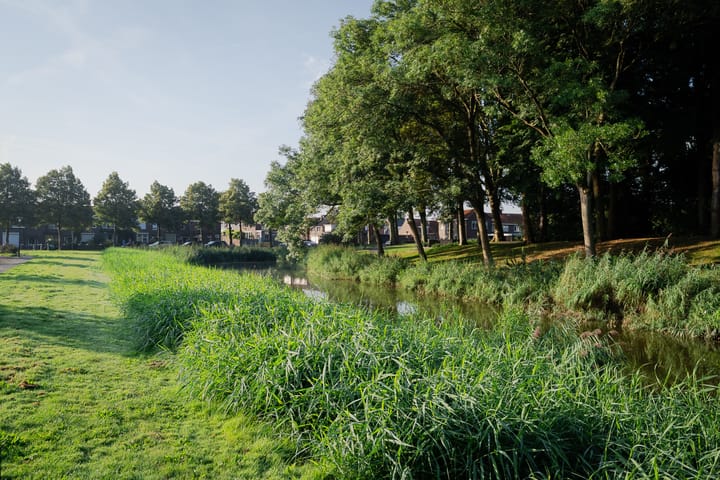 Foto 5 van Ten Ankerweg 20