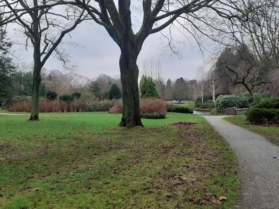 Foto 7 van Prins Hendriklaan