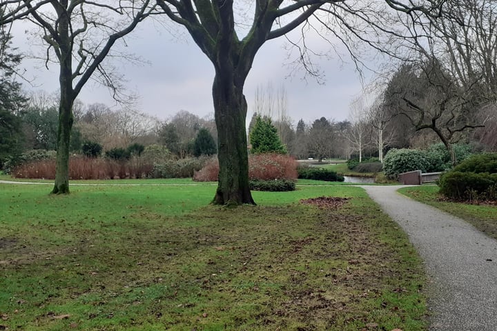 Bekijk foto 7 van Prins Hendriklaan