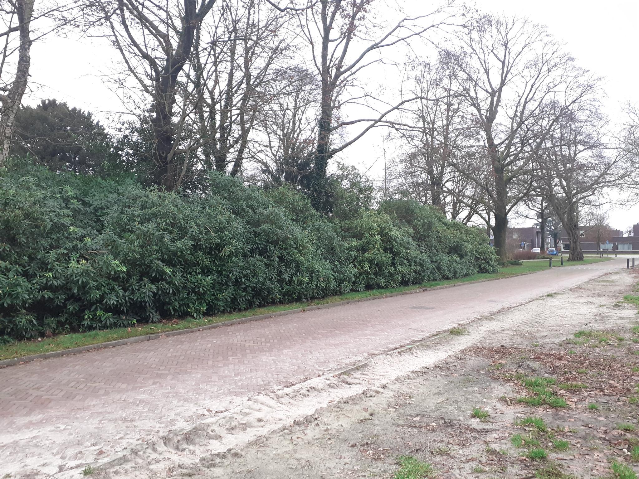 Foto 9 van Prins Hendriklaan