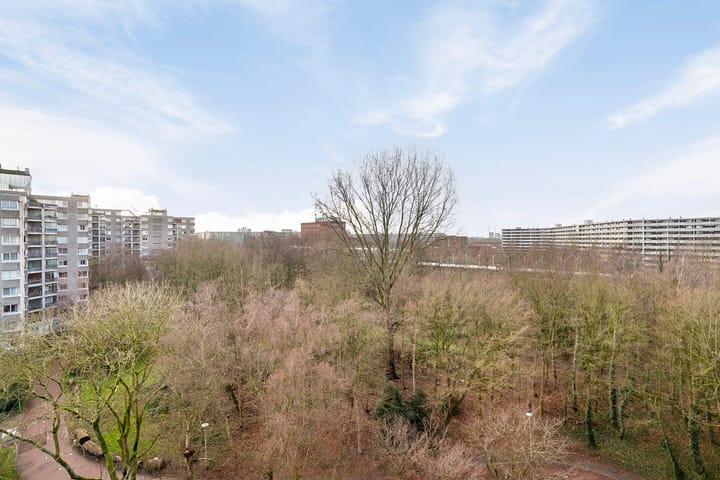 Photo 6 of Gouden Leeuw 738