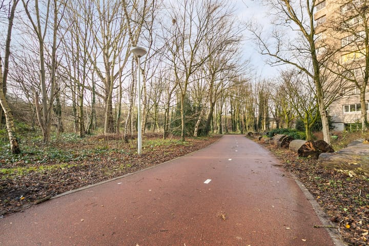 Photo 8 of Gouden Leeuw 738