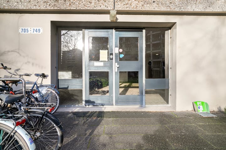 Photo 9 of Gouden Leeuw 738