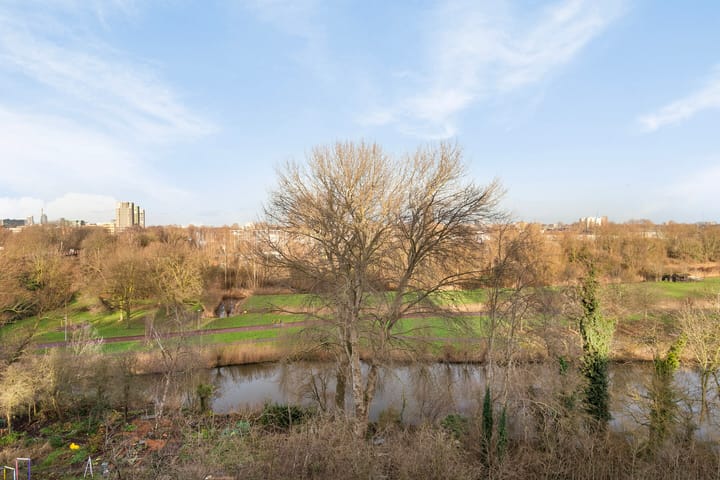 Photo 16 of Gouden Leeuw 738