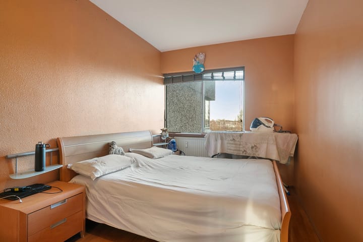 Photo 20 of Gouden Leeuw 738