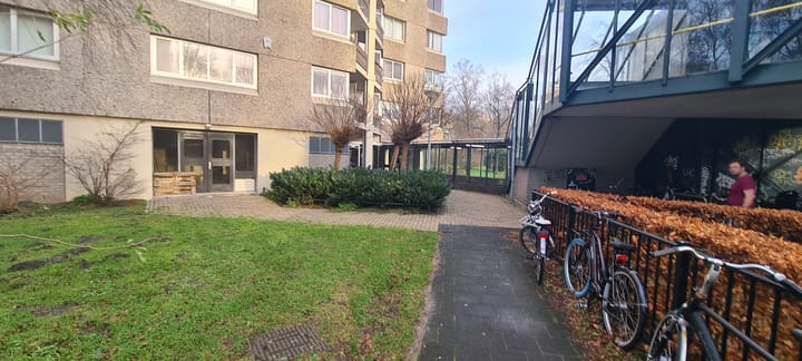 Photo 25 of Gouden Leeuw 738