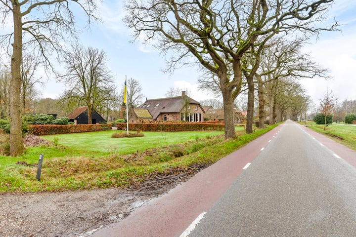 Bekijk foto 48 van Leeuwte 26