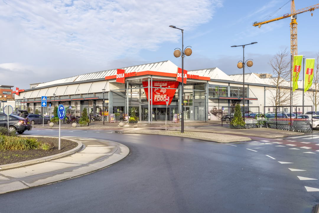 Foto 23 van van Borsselestraat 59