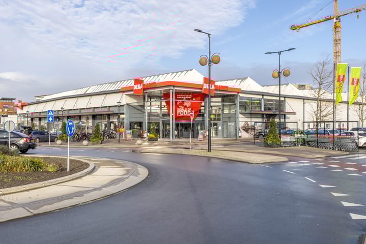 Photo 23 of van Borsselestraat 59