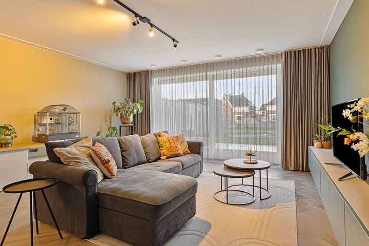 Foto 4 van Boommarter 2