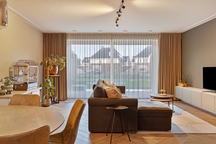 Foto 6 van Boommarter 2