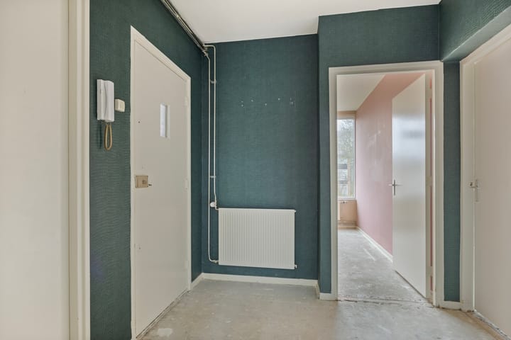 Foto 21 van Frans Halsstraat 26