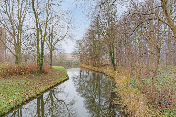 Foto 24 van Frans Halsstraat 26