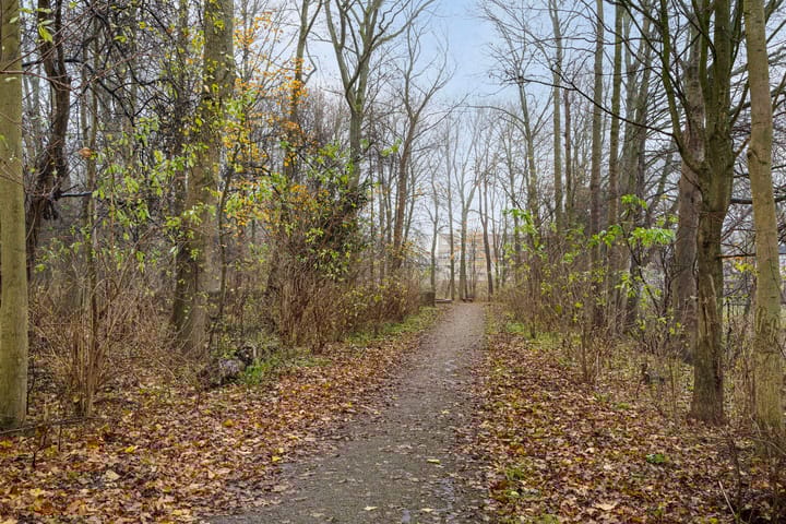 Foto 25 van Frans Halsstraat 26