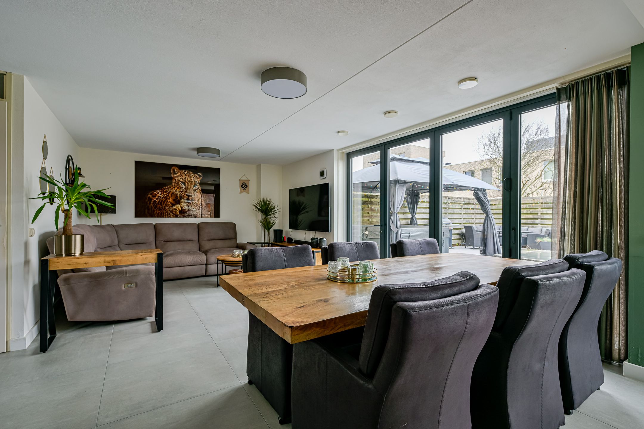 Foto 12 van Saffier 38