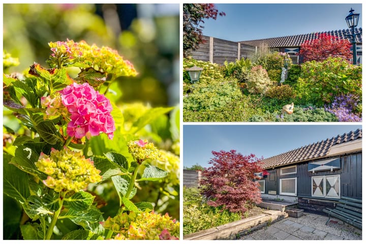 Foto 17 van Patrijslaan 2