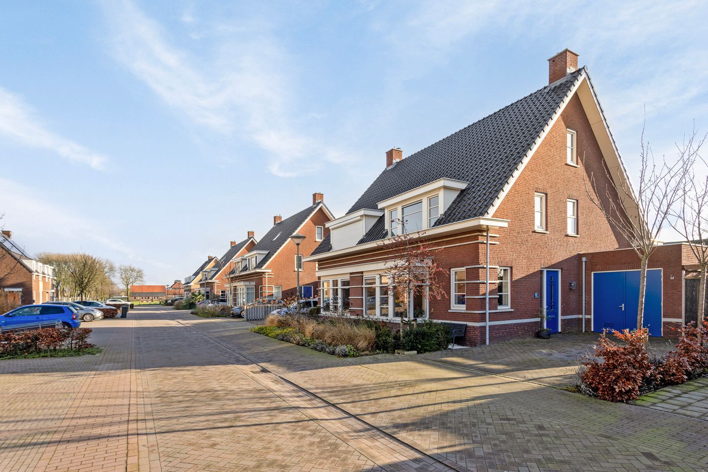 Foto 4 van Veldleeuwerik 16