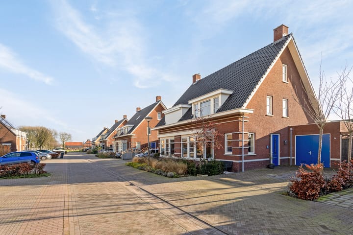 Foto 4 van Veldleeuwerik 16