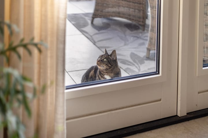 Foto 19 van Veldleeuwerik 16