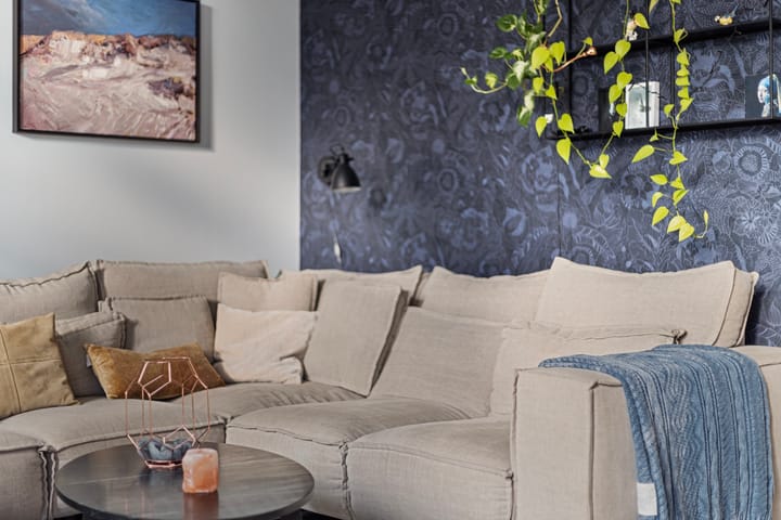 Foto 20 van Veldleeuwerik 16