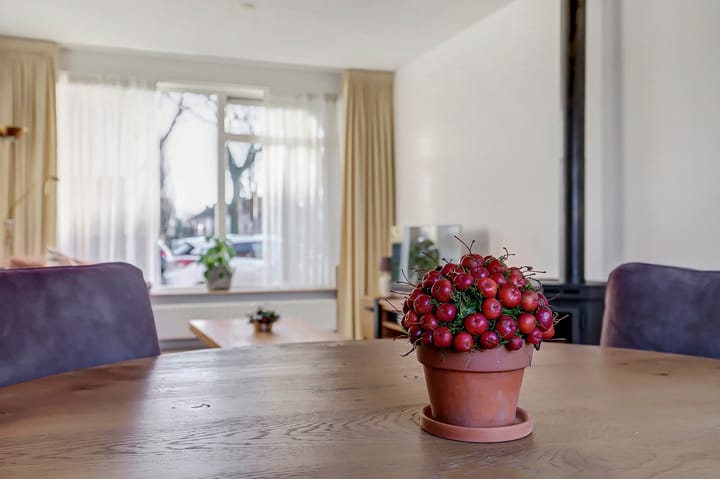 Foto 11 van Jan de Witplein 30