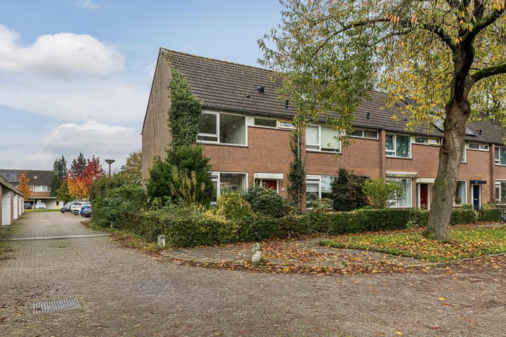 Foto 5 van Camminghalaan 57