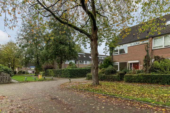 Foto 6 van Camminghalaan 57