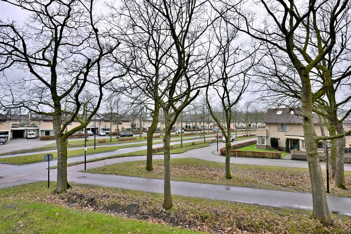 Foto 11 van Leonard Springerlaan 53