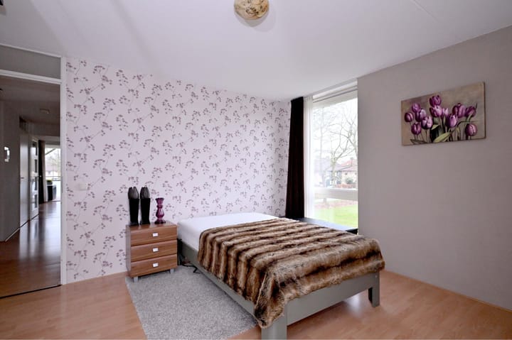 Foto 23 van Leonard Springerlaan 53