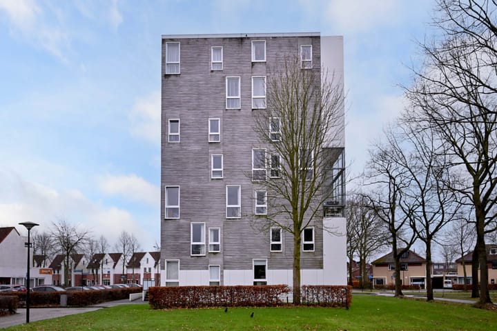 Foto 30 van Leonard Springerlaan 53