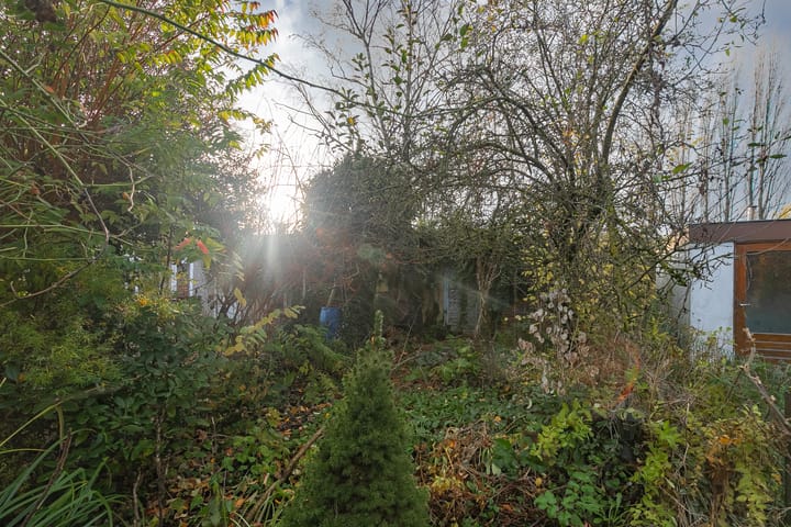 Photo 19 of Ambyerstraat Zuid 67