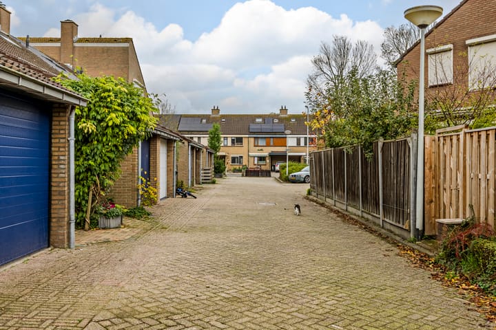 Foto 39 van Vlaswiek 38