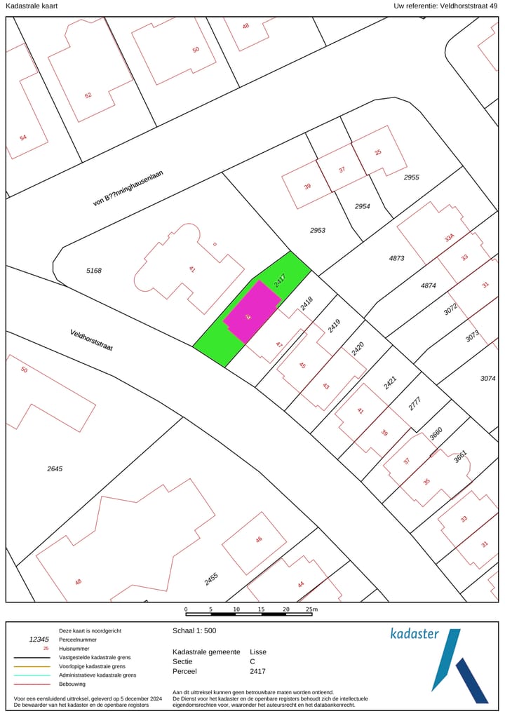 Foto 53 van Veldhorststraat 49