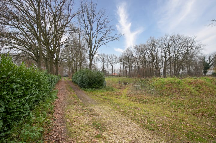 Foto 4 van Paarloweg 8