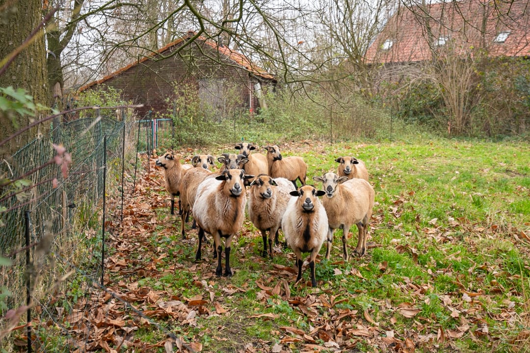 Photo 31 of Paarloweg 8
