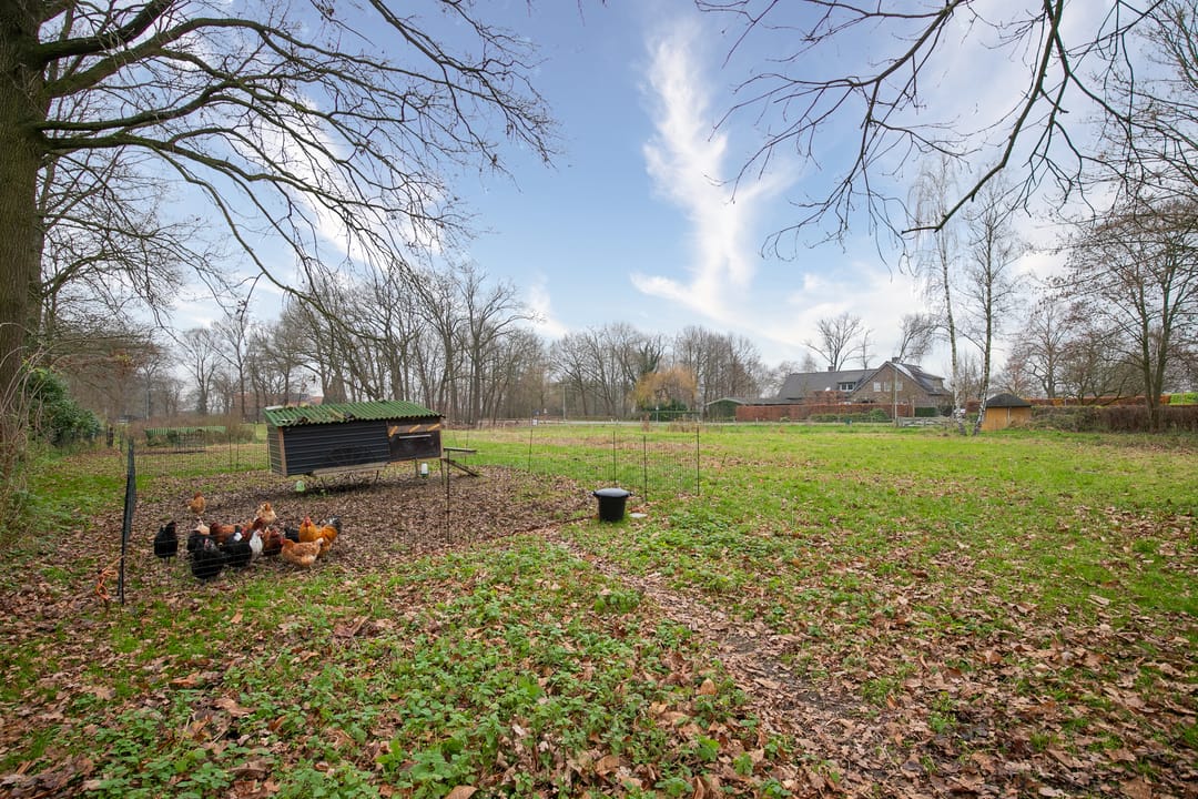 Photo 37 of Paarloweg 8