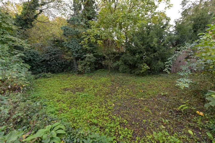 Foto 30 van Muntstraat 12