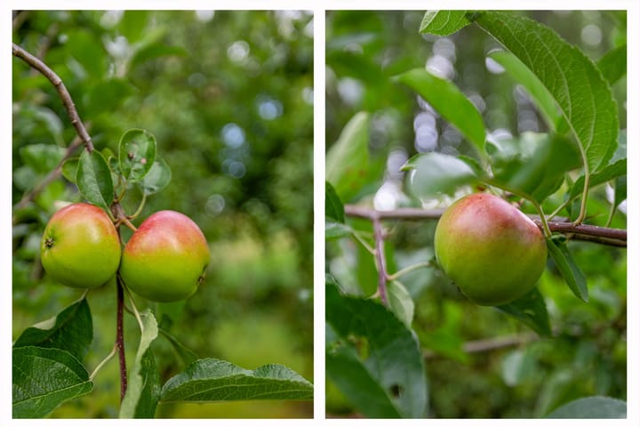 Foto 59 van Kerkstraat 64