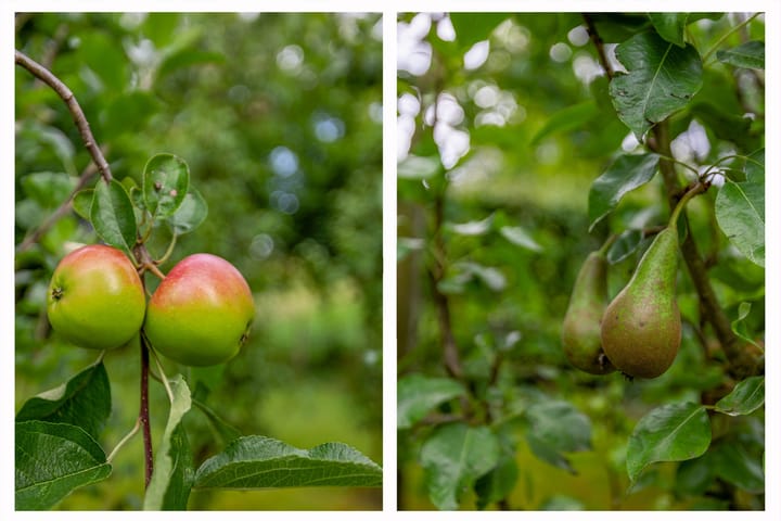 Foto 61 van Kerkstraat 64