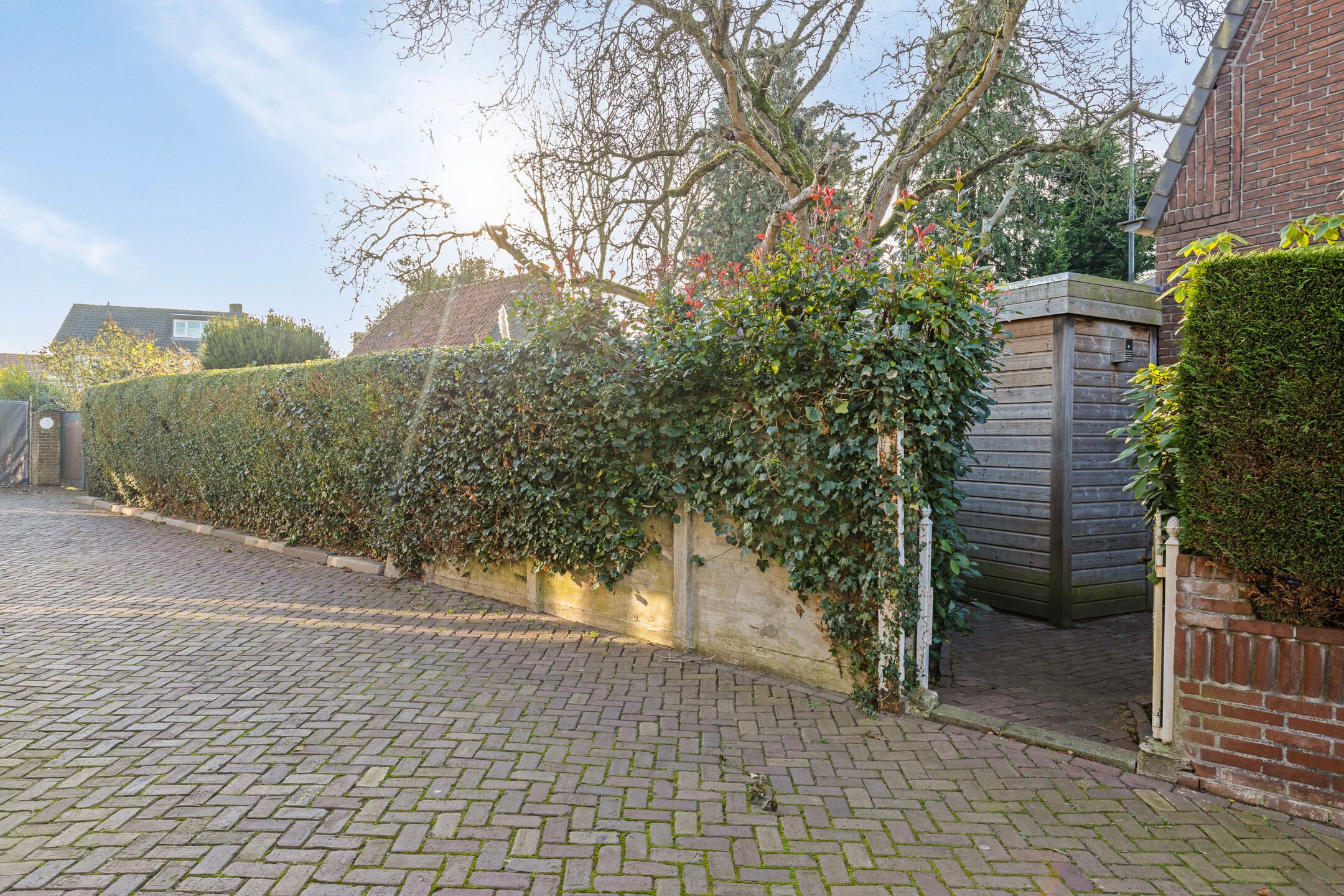 Foto 45 van Rudigerstraat 11