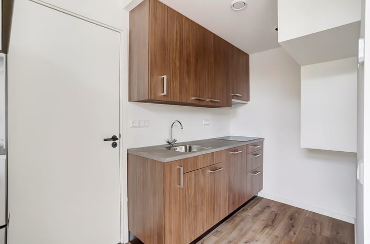 Foto 7 van Regentesseplantsoen 2