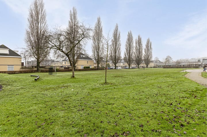 Foto 39 van Pyriet 6